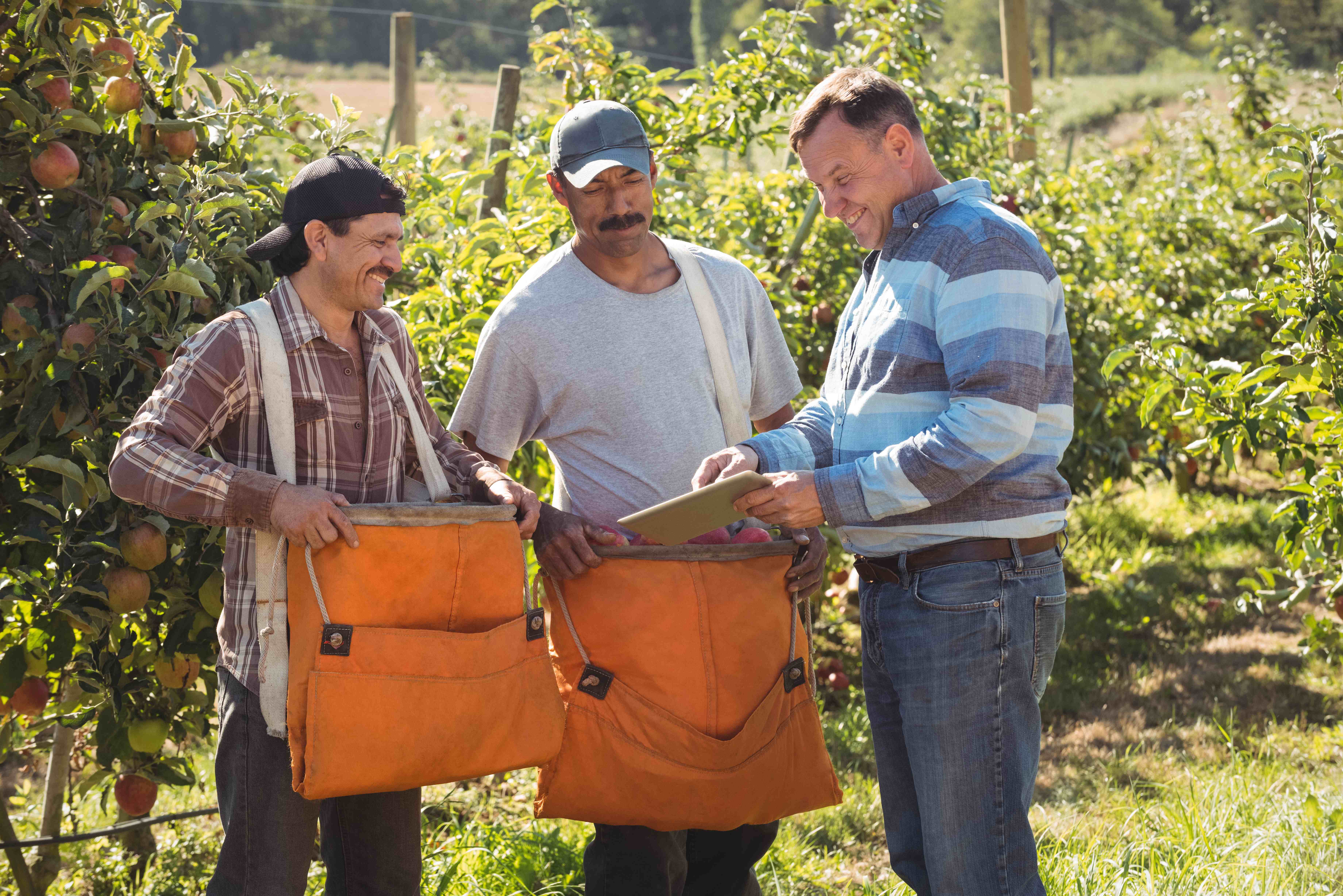 Agricoltori che collaborano con WorldFruitSRL